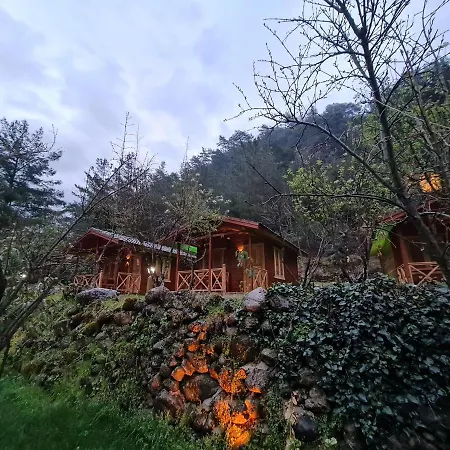 Bungalow 알란야